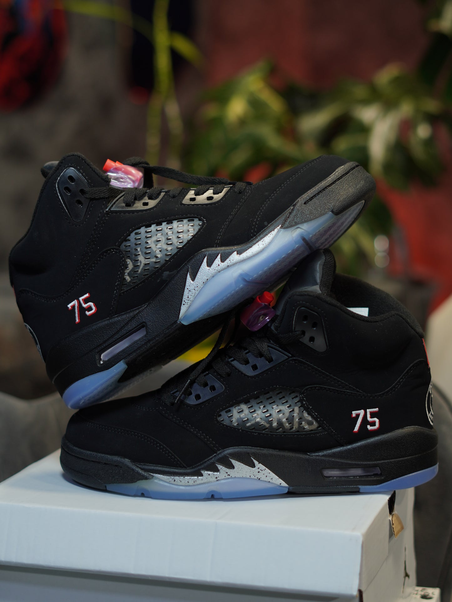 Jordan 5 Retro Paris Saint-Germain
