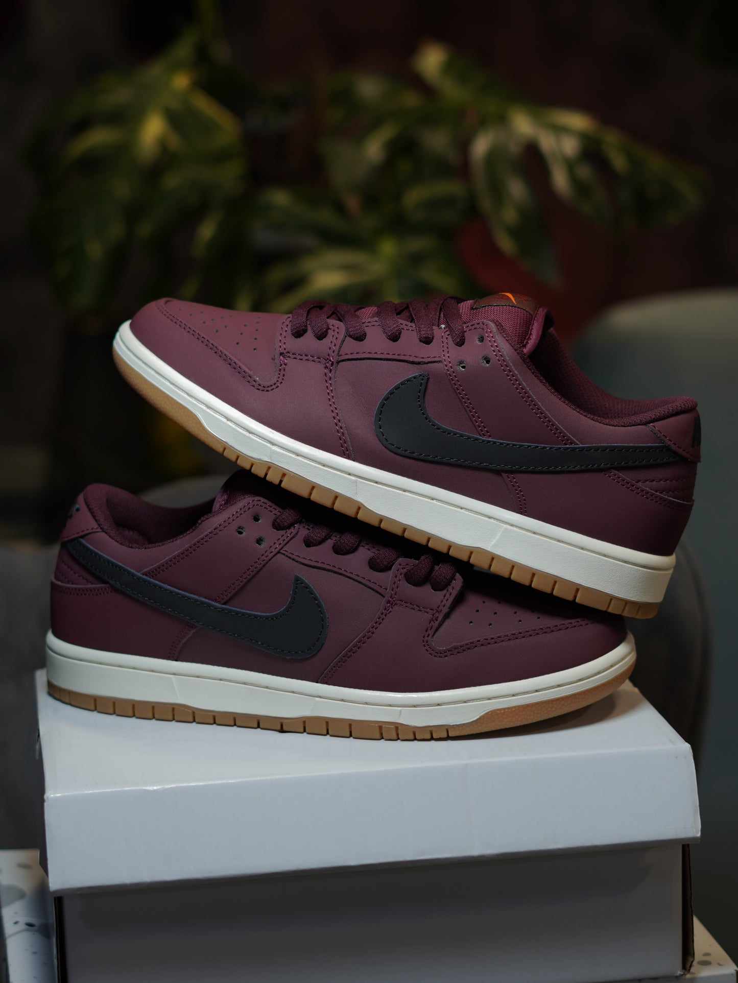 Nike SB Dunk Low Pro