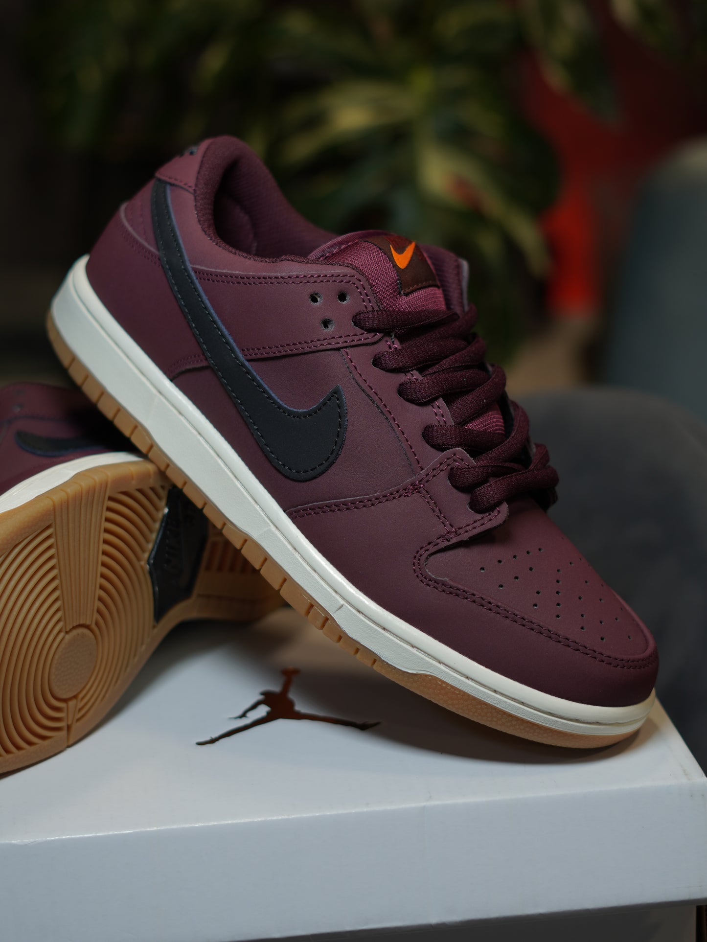 Nike SB Dunk Low Pro