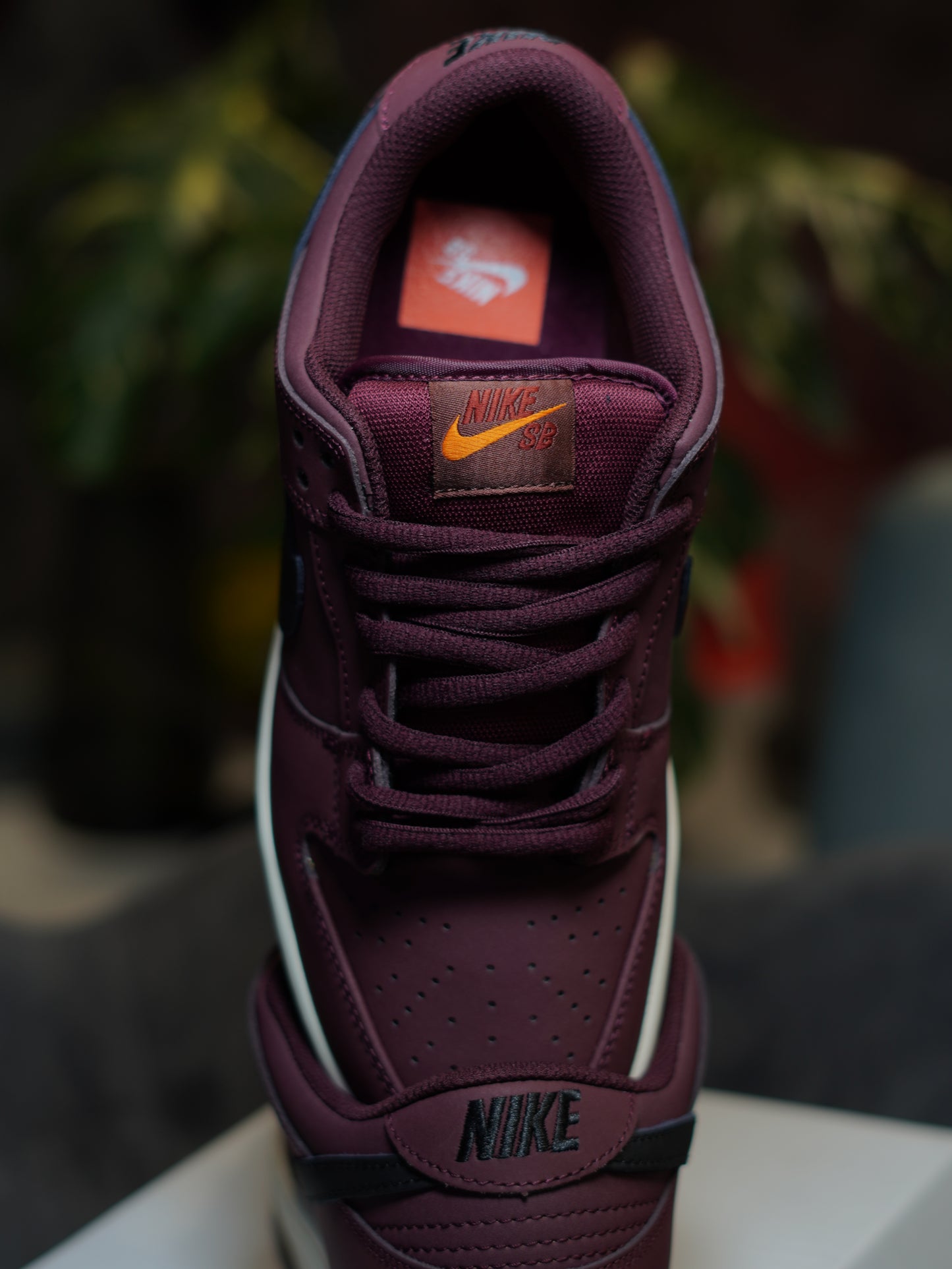 Nike SB Dunk Low Pro