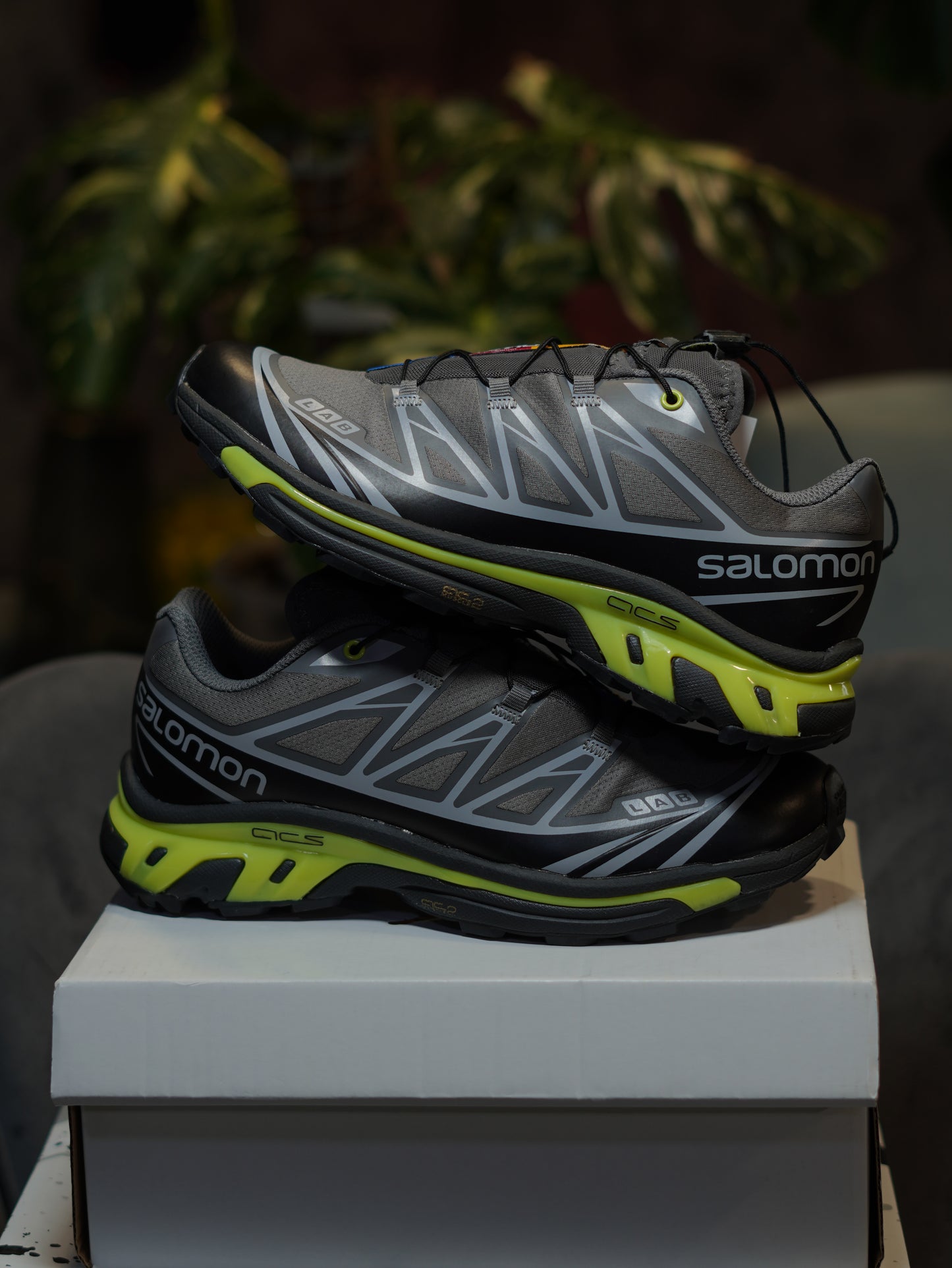 SALOMON