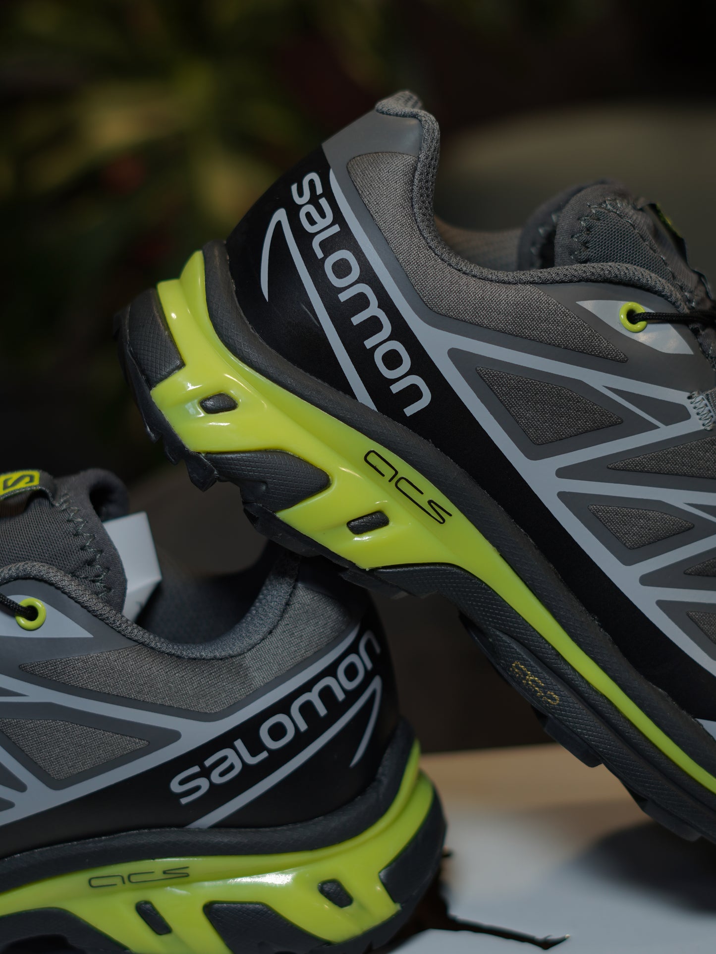 SALOMON