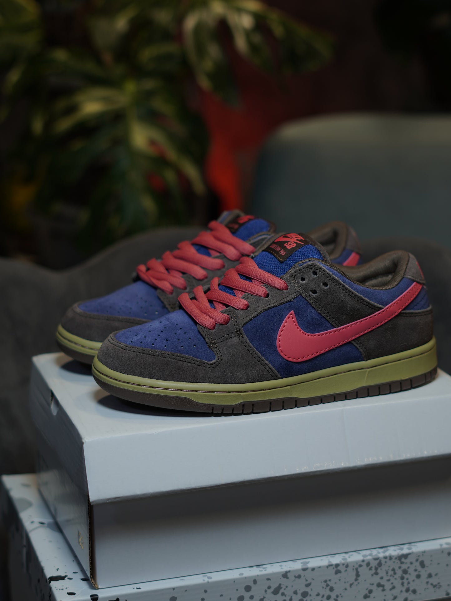 Nike SB Dunk Low Pro