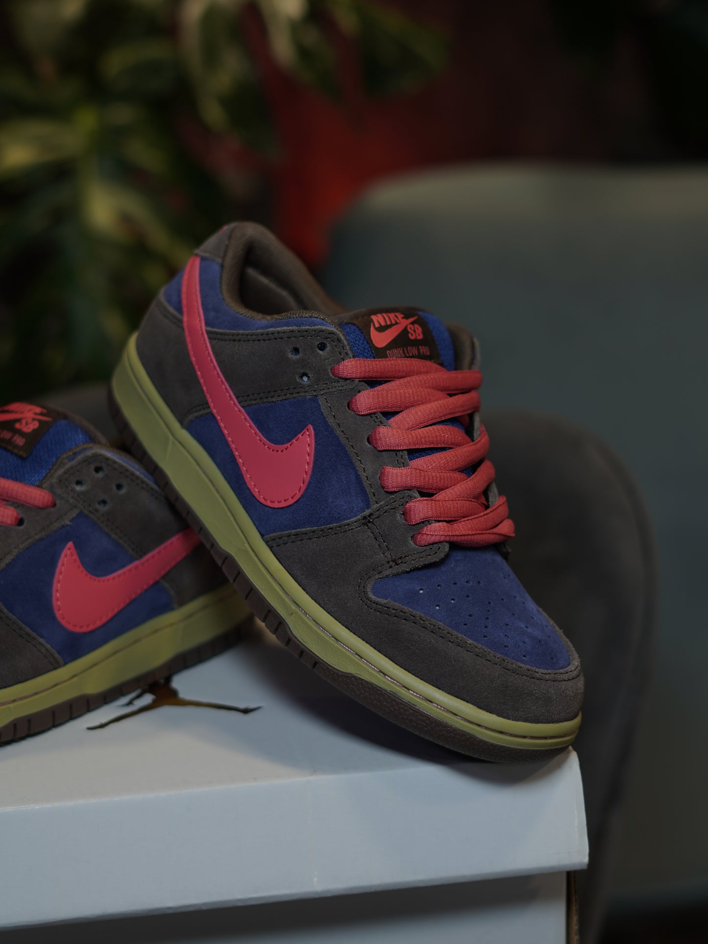 Nike SB Dunk Low Pro