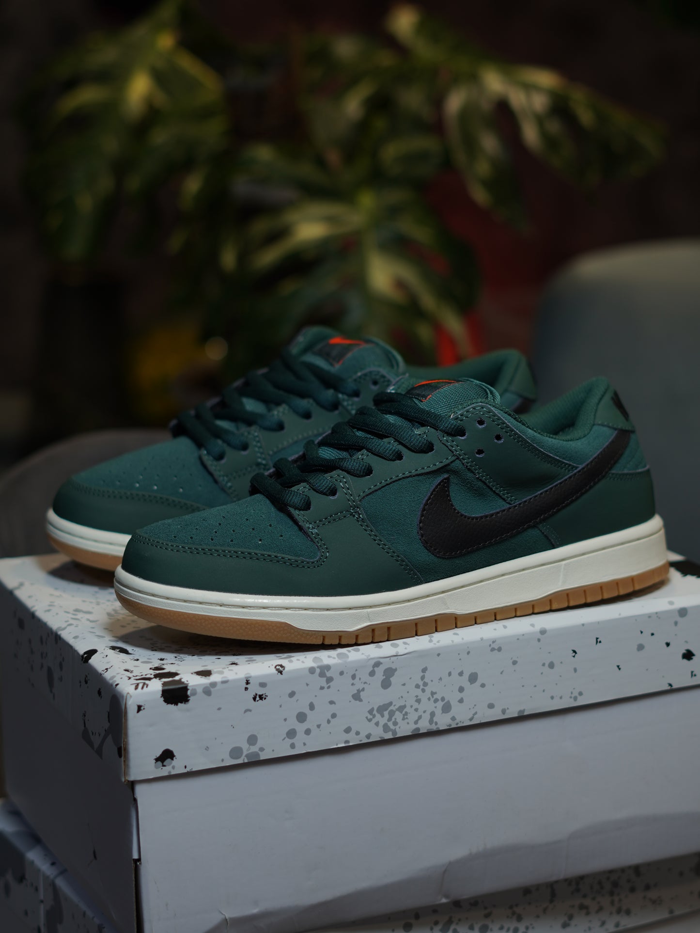 Nike SB Dunk Low Pro