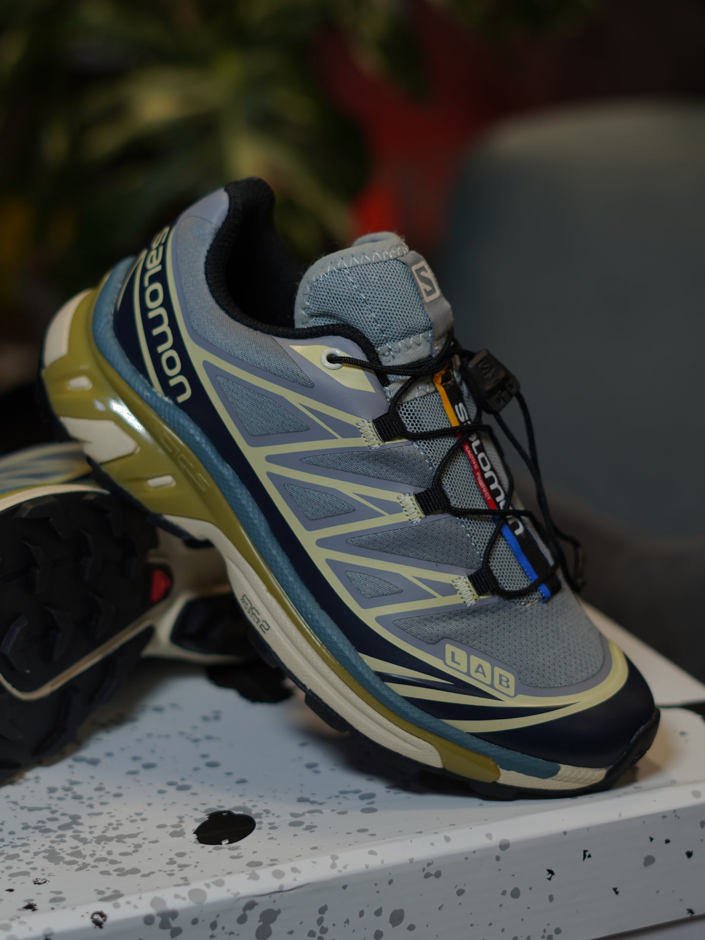 SALOMON