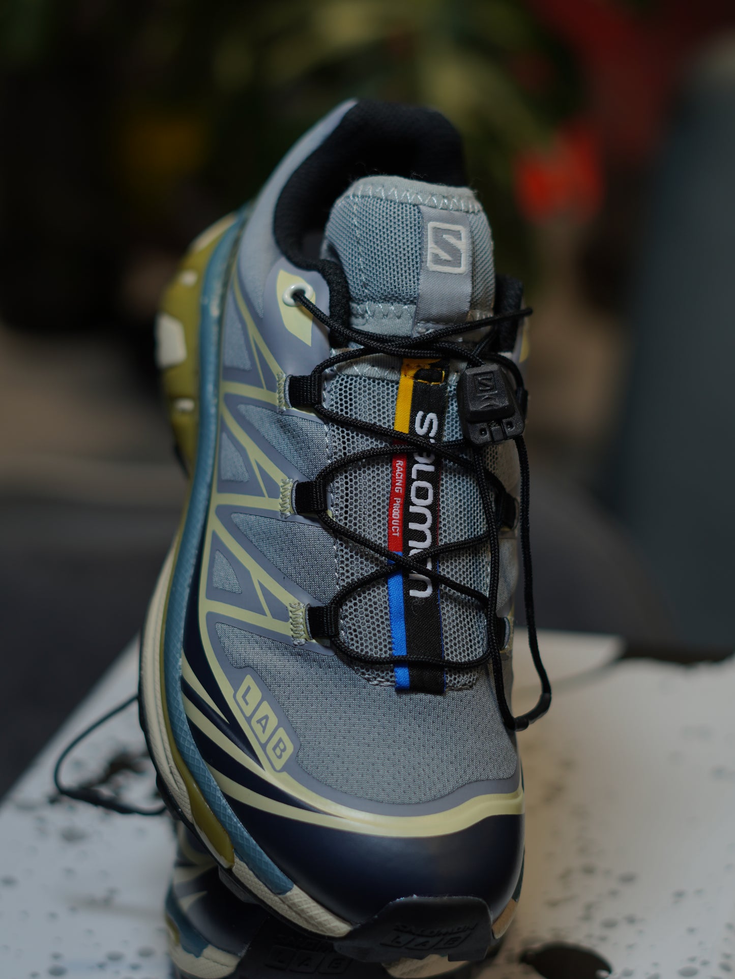 SALOMON