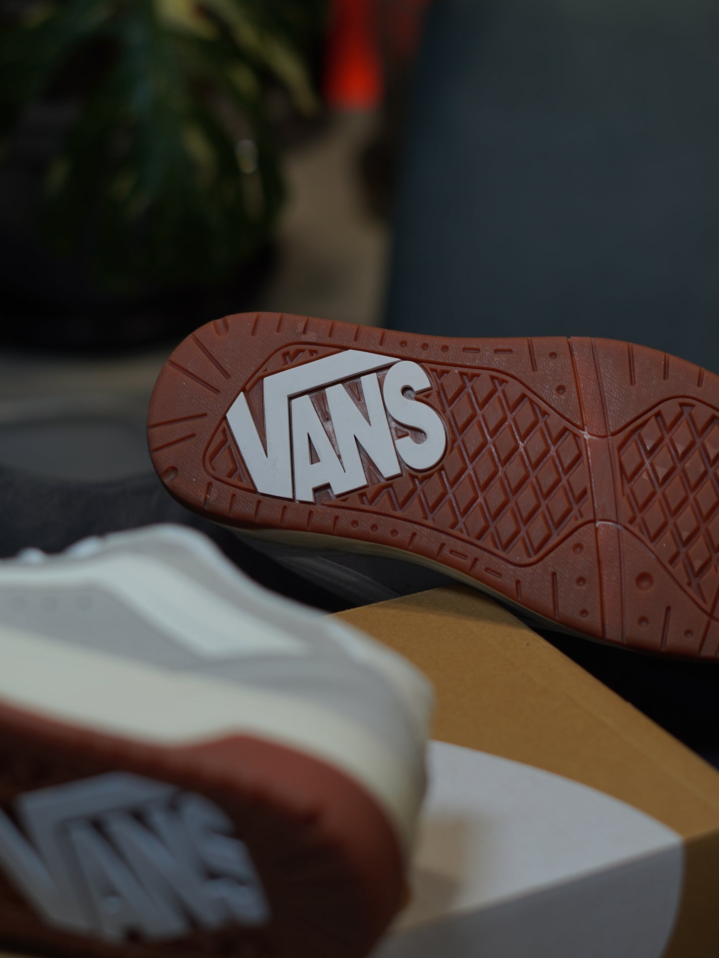 Vans Hylane Marshmallow