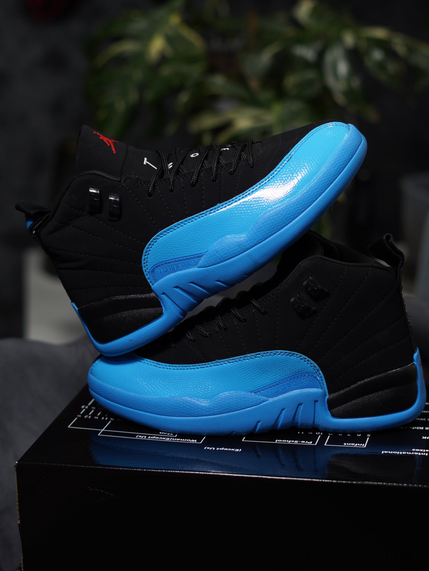 Jordan RETRO 12 Gammablue