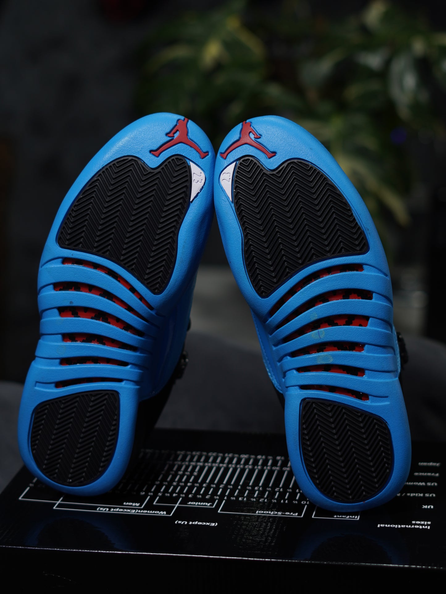 Jordan RETRO 12 Gammablue