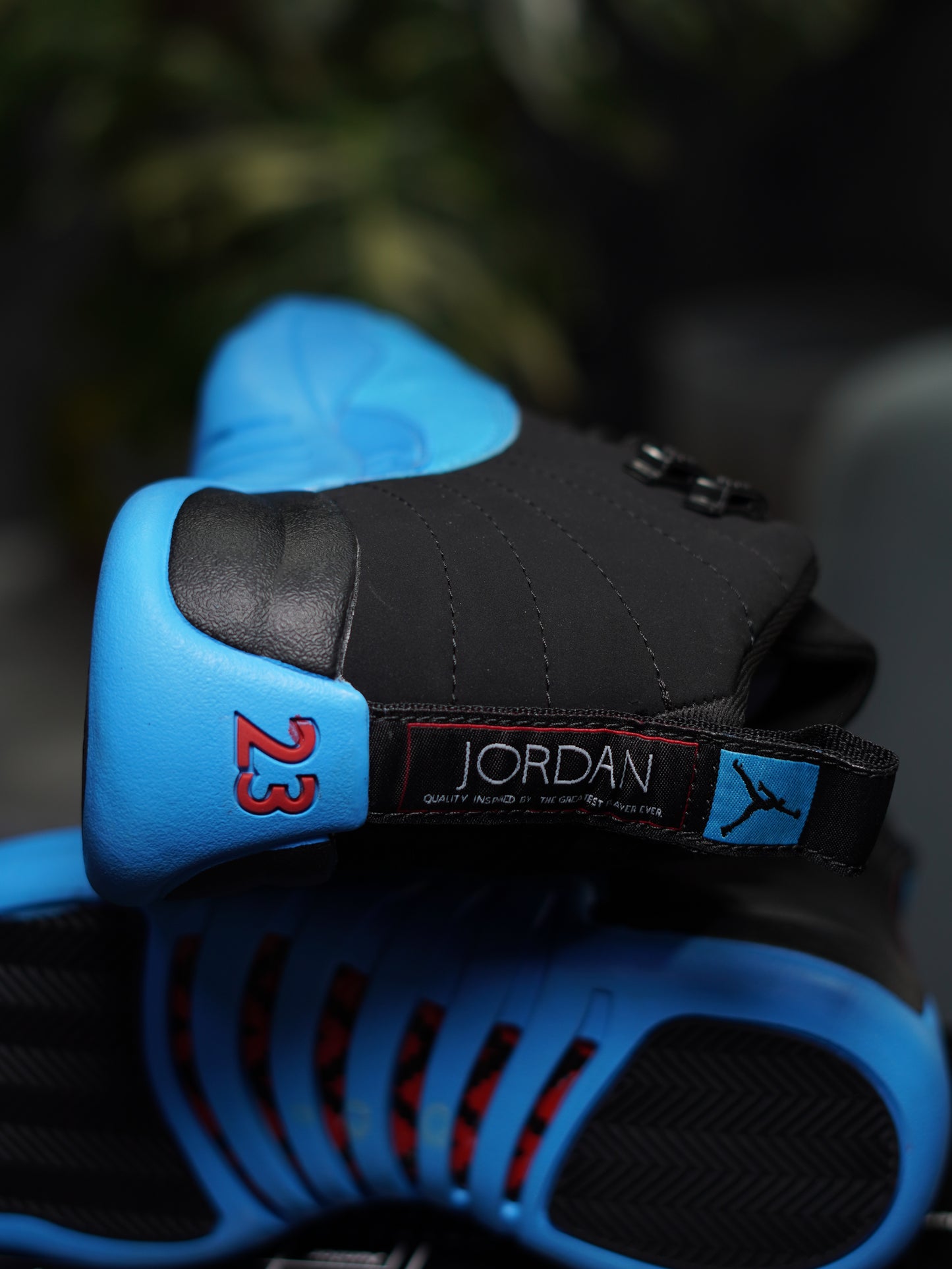 Jordan RETRO 12 Gammablue