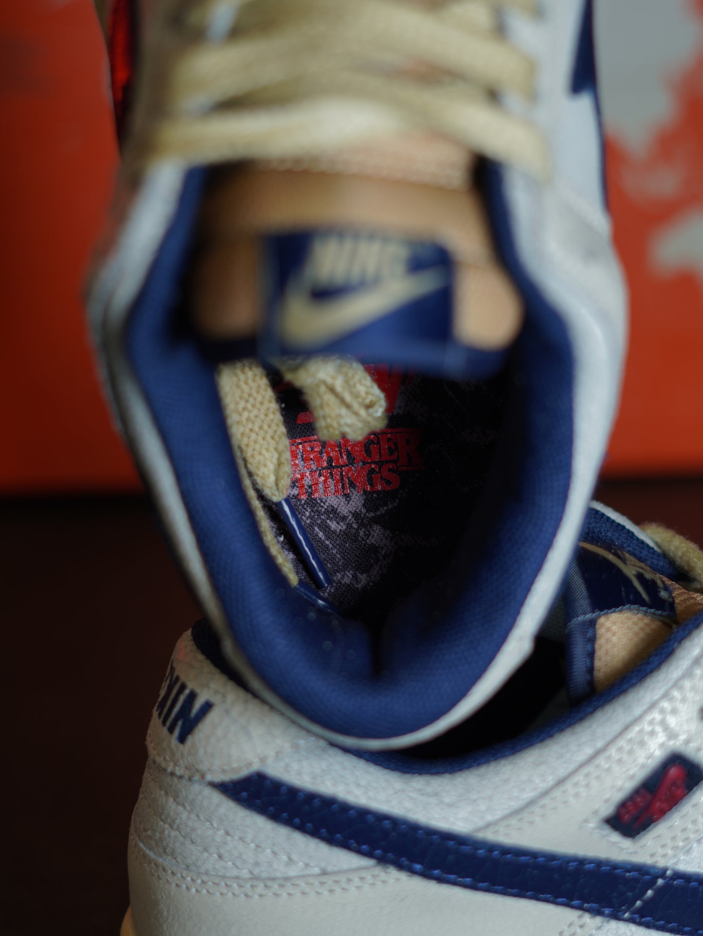 nike Dunk Low x Stranger Things.