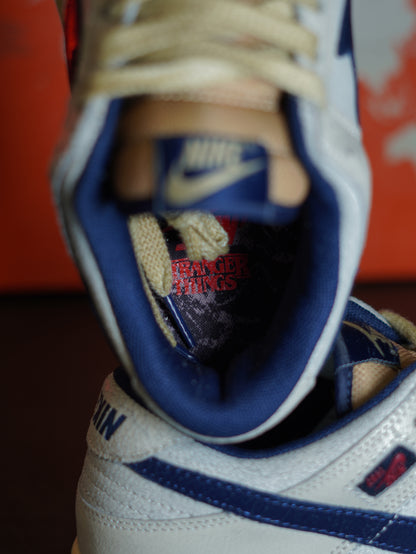 nike Dunk Low x Stranger Things.