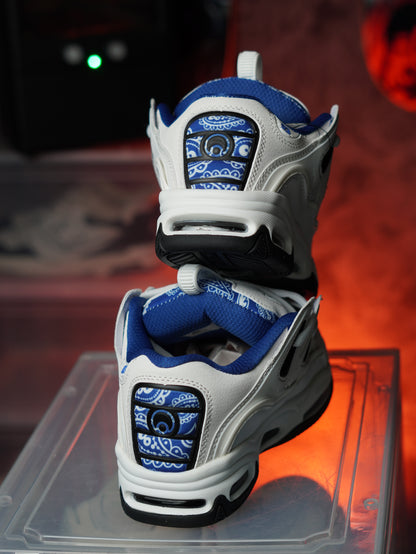 Osiris D3 2001  White/Navy