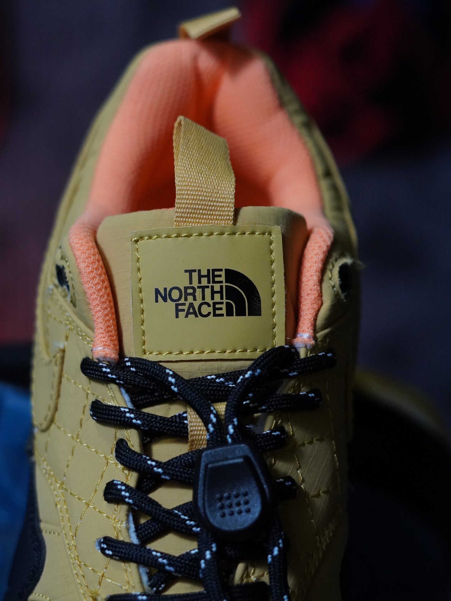 Nike Air Max 1 x The North Face