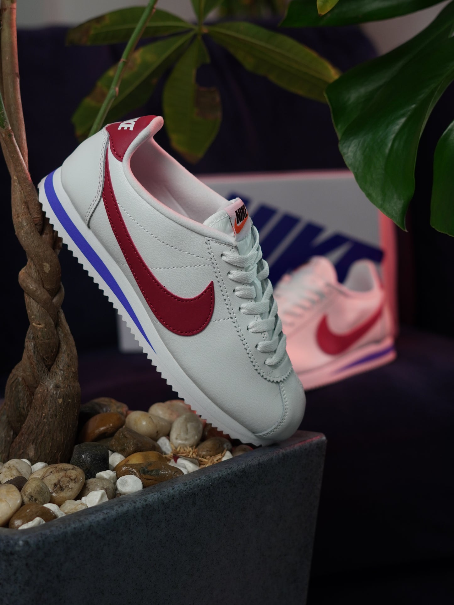 Nike Cortez Basic