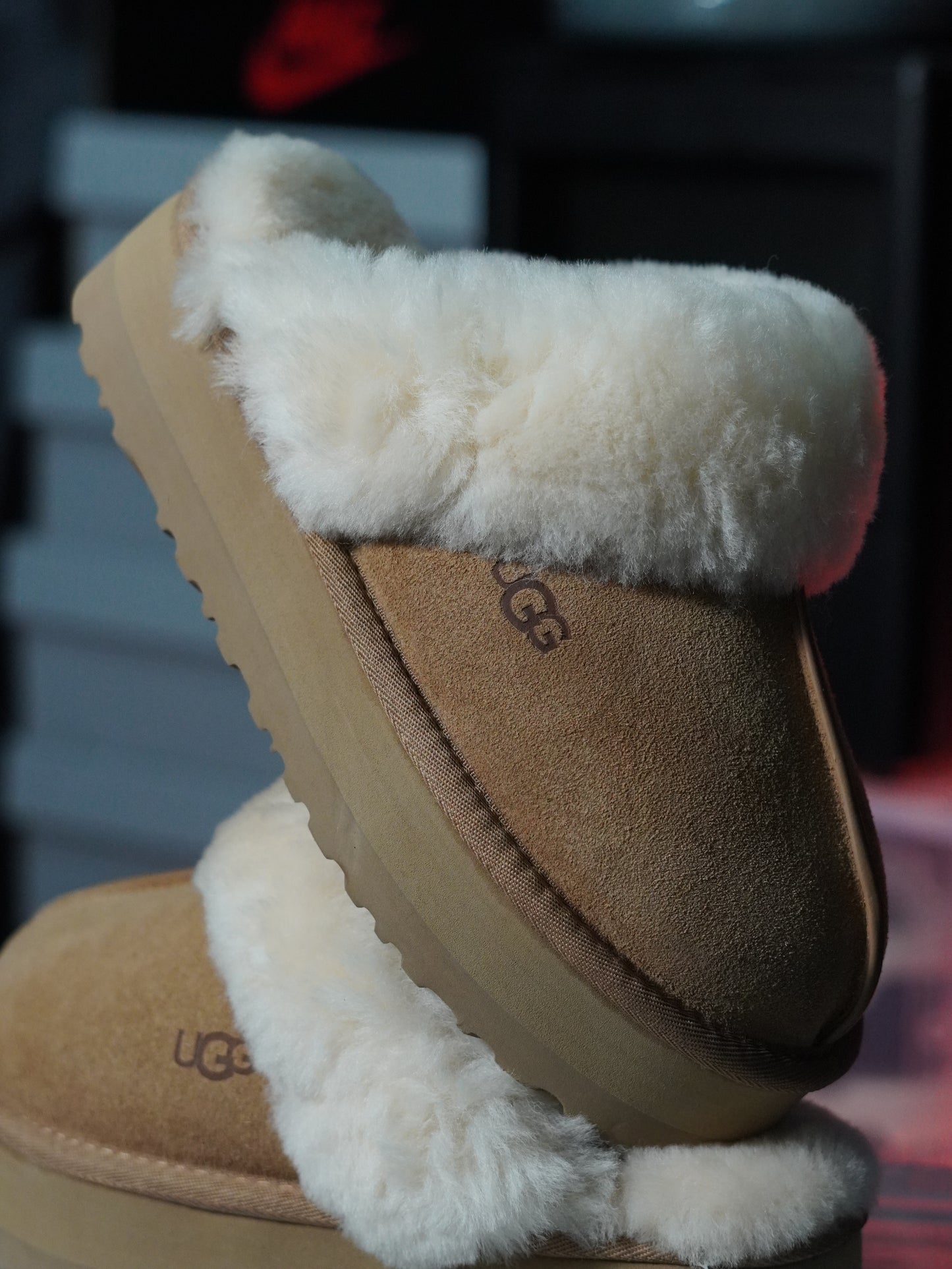 UGG Disquette