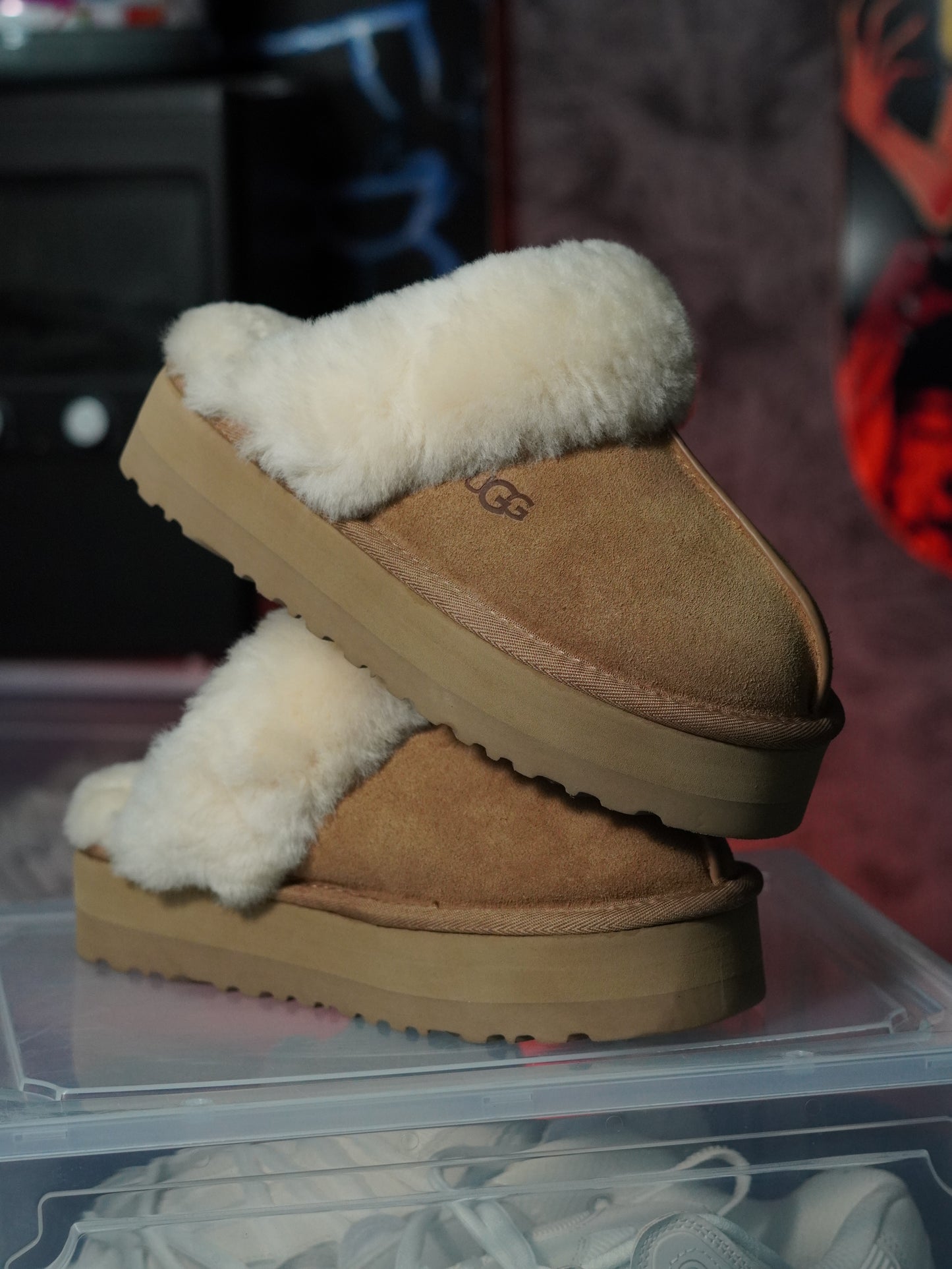UGG Disquette