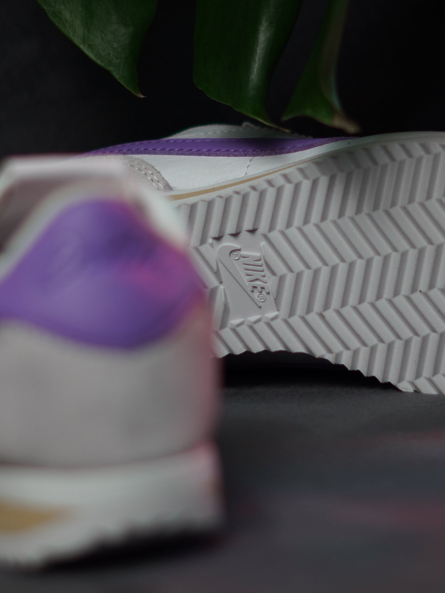 Nike tenis Cortez SE "Sail/Iced Lilac"