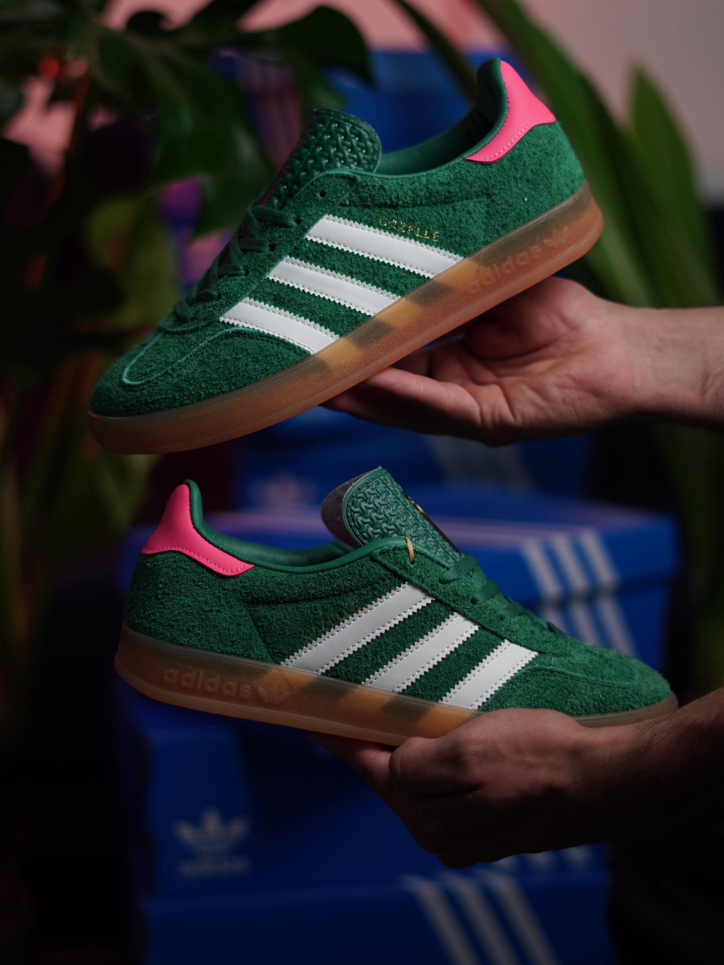 Adidas Gazelle Indoor