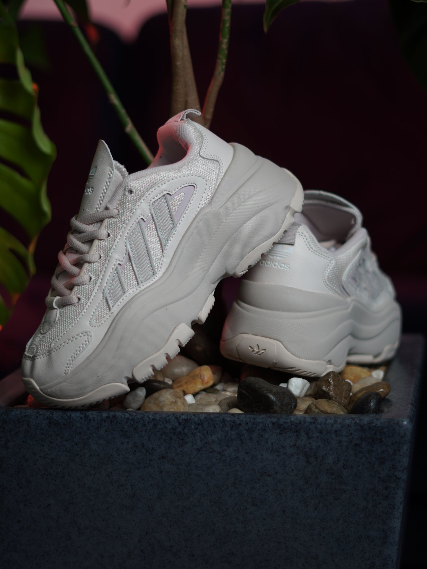 Adidas Ozgaia Grey One