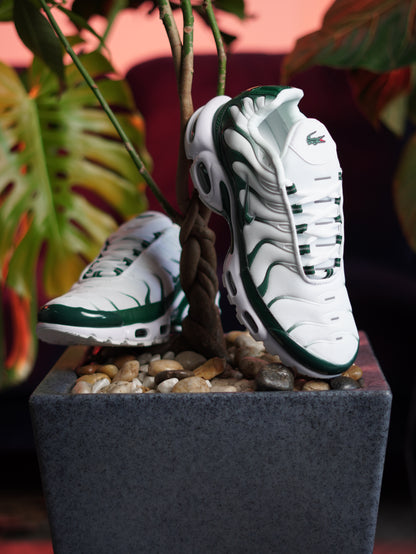 Nike TN x Lacoste