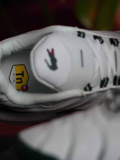 Nike TN x Lacoste