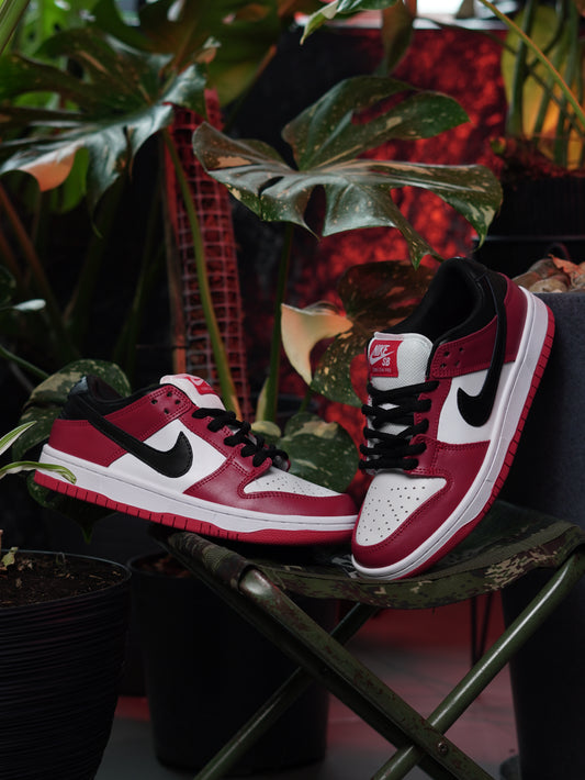 Nike SB Dunk Low Pro J-Pack Chicago