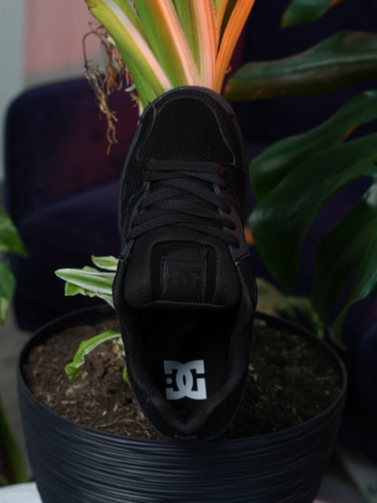 DC Stang - Negro