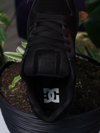 DC Stang - Negro