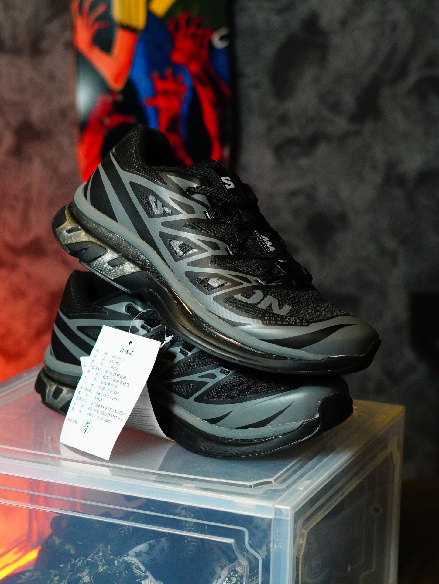 Salomon XT-M6