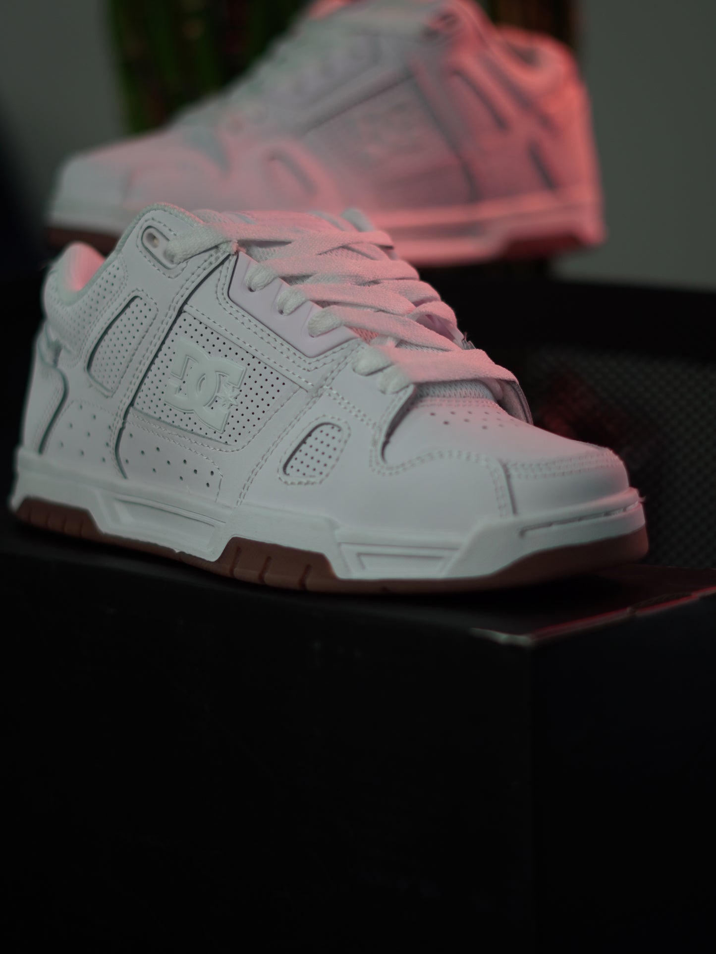 DC Stag / White/Gum