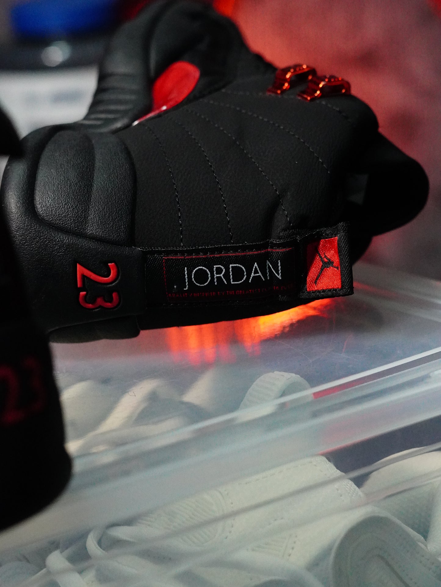 Air Jordan 12 Retro "Bloodline"