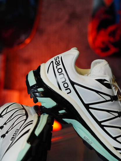 Salomon XT-6 en color blanco y negro