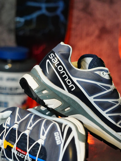 Salomon XT-6