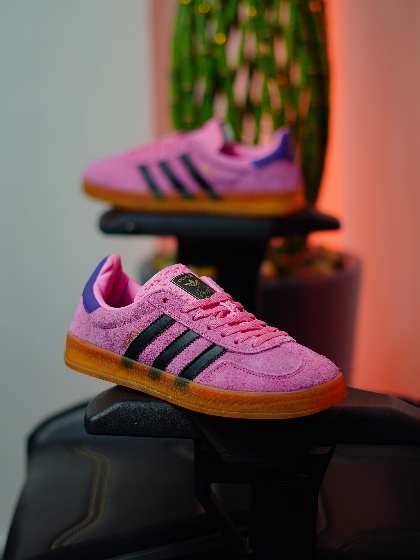 Adidas Gazelle Indoor / Rosa / Violeta