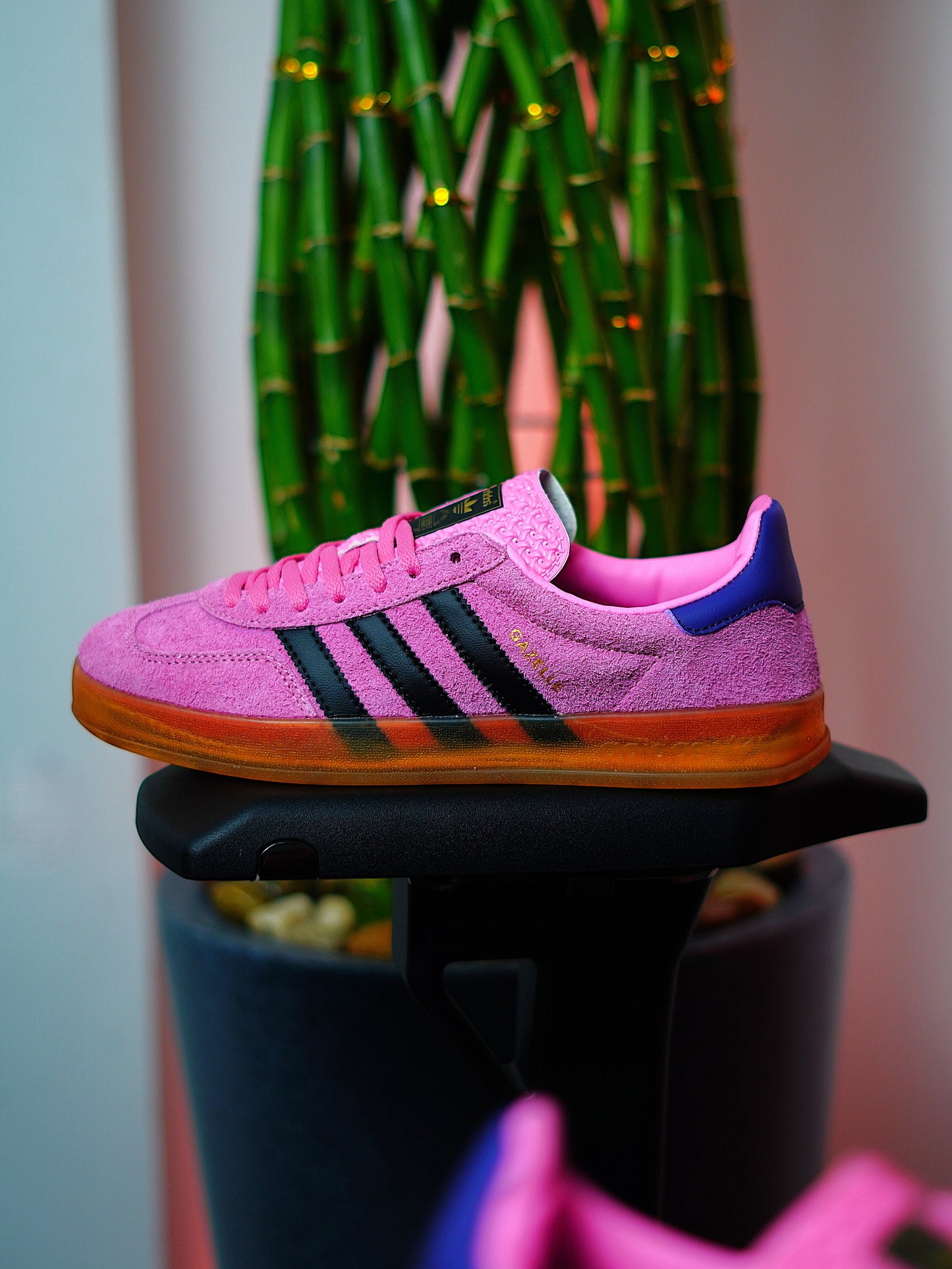 Adidas Gazelle Indoor / Rosa / Violeta