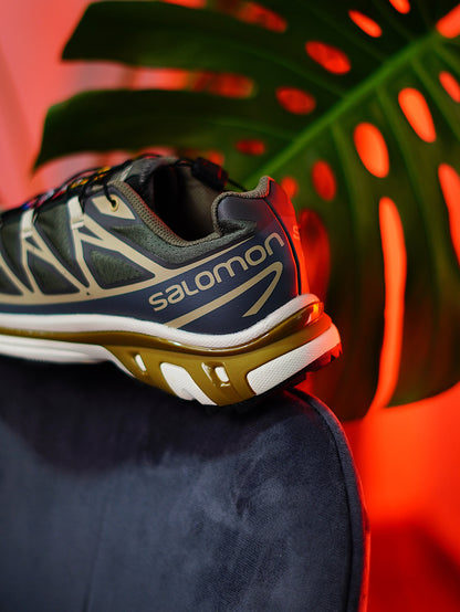 Salomon XT-6
