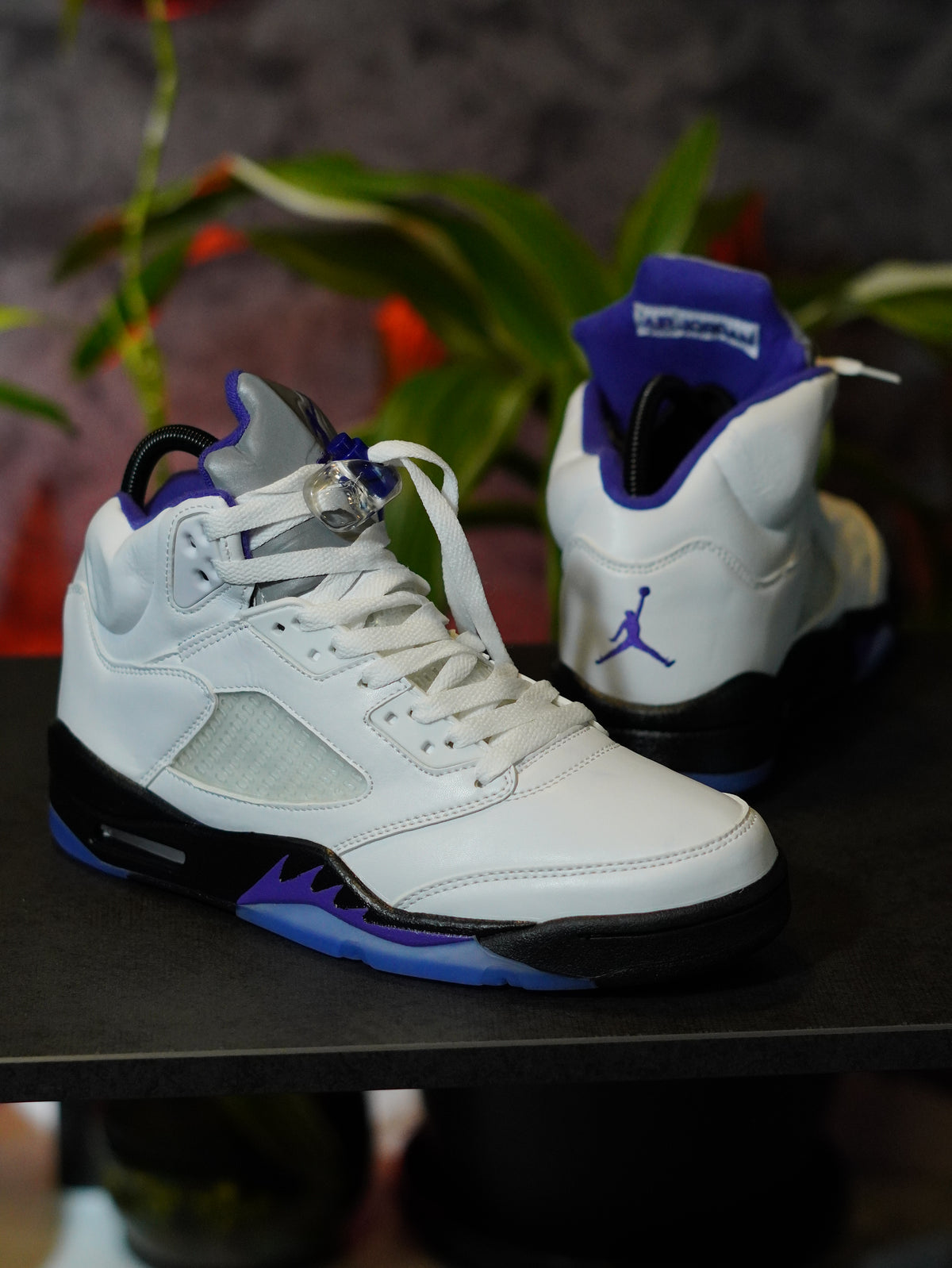 Air Jordan 5 Retro "Concord"