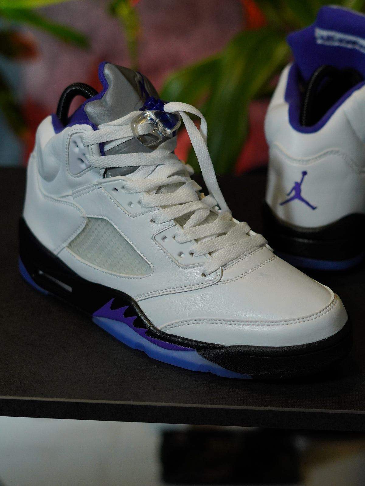 Air Jordan 5 Retro "Concord"