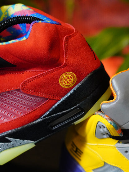 Air Jordan 5 Retro "What The"