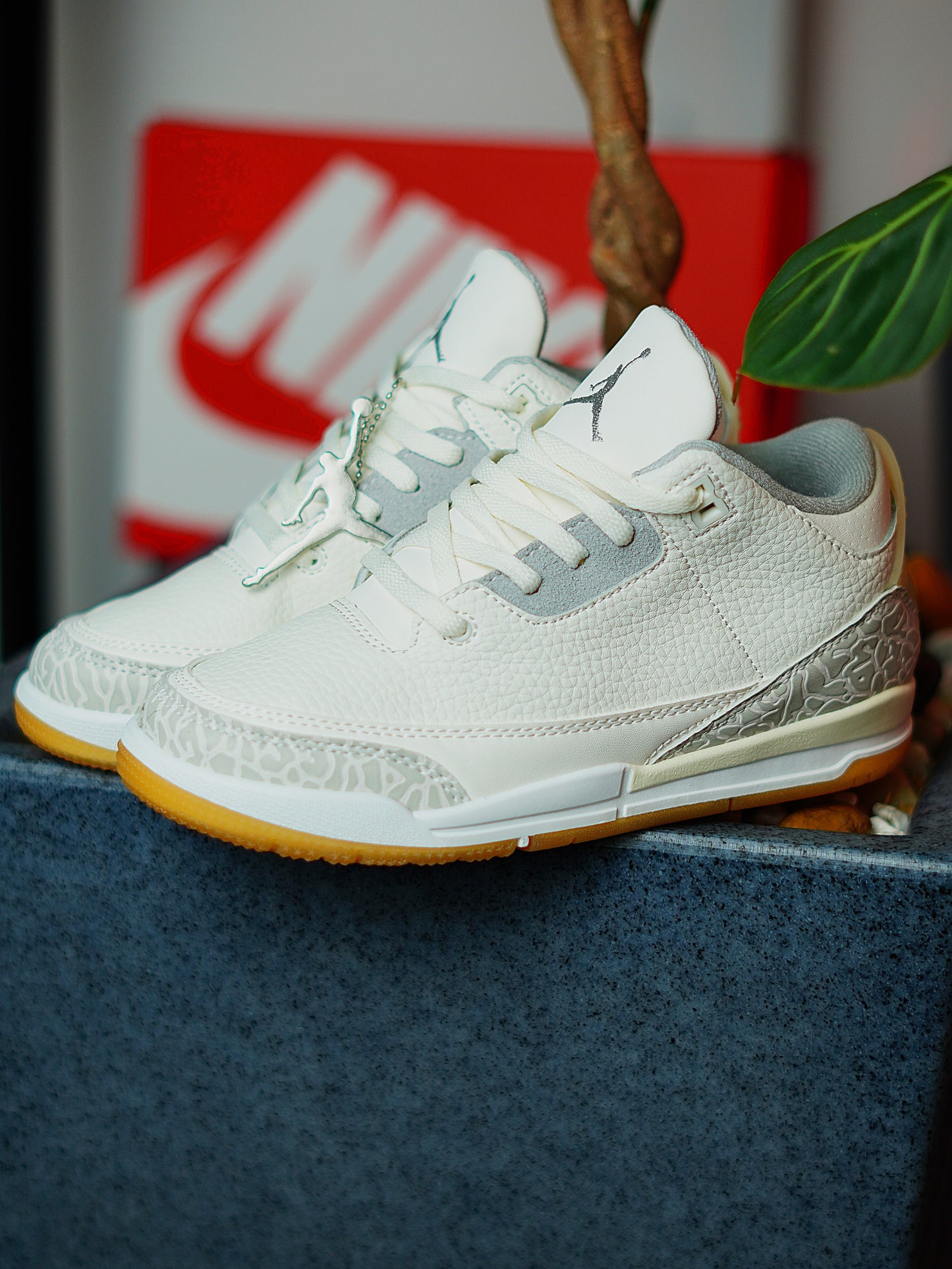 Nike Air Jordan Retro 3 / Blanco