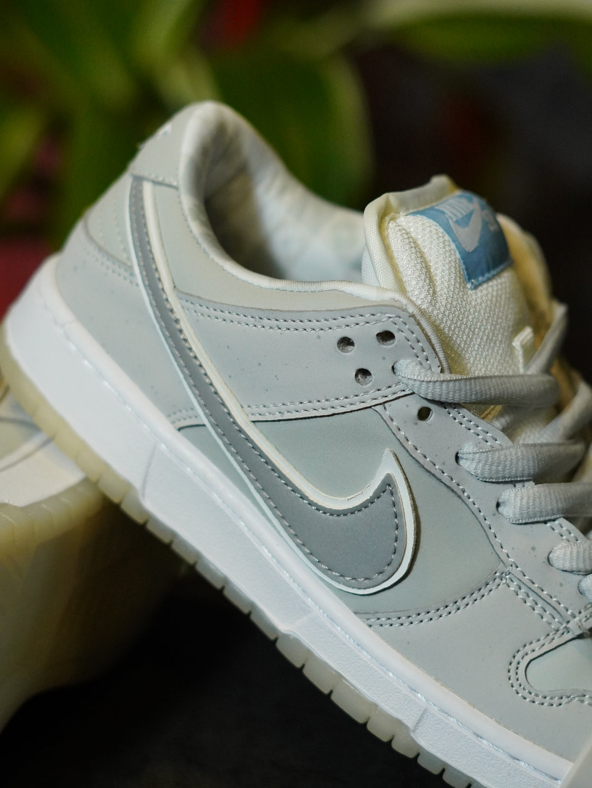 Concepts x Nike SB Dunk Low "White Lobster