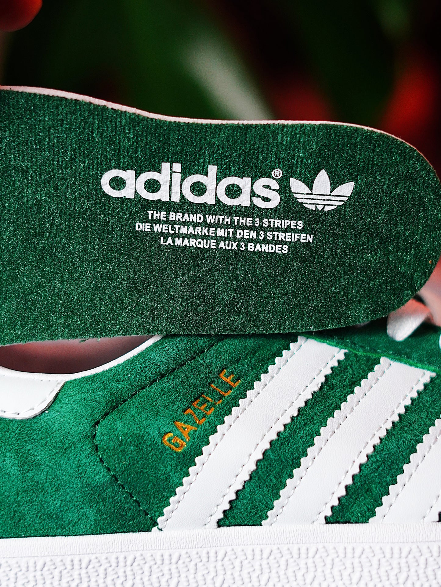 Adidas Gazele - Verde