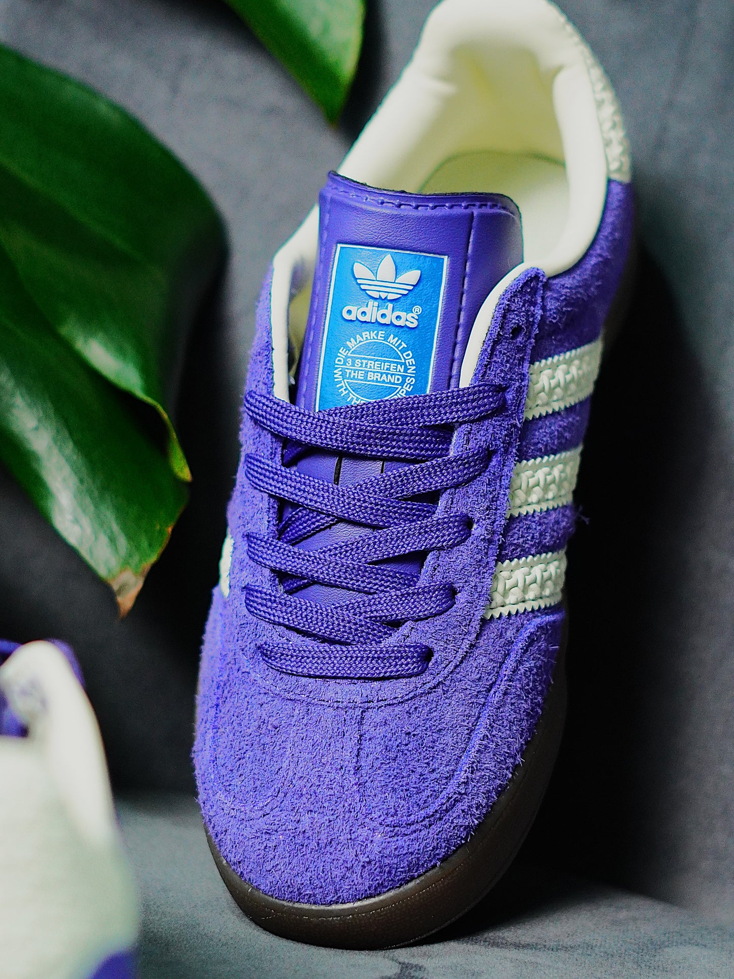 Adidas Gazelle Indoor - Violeta