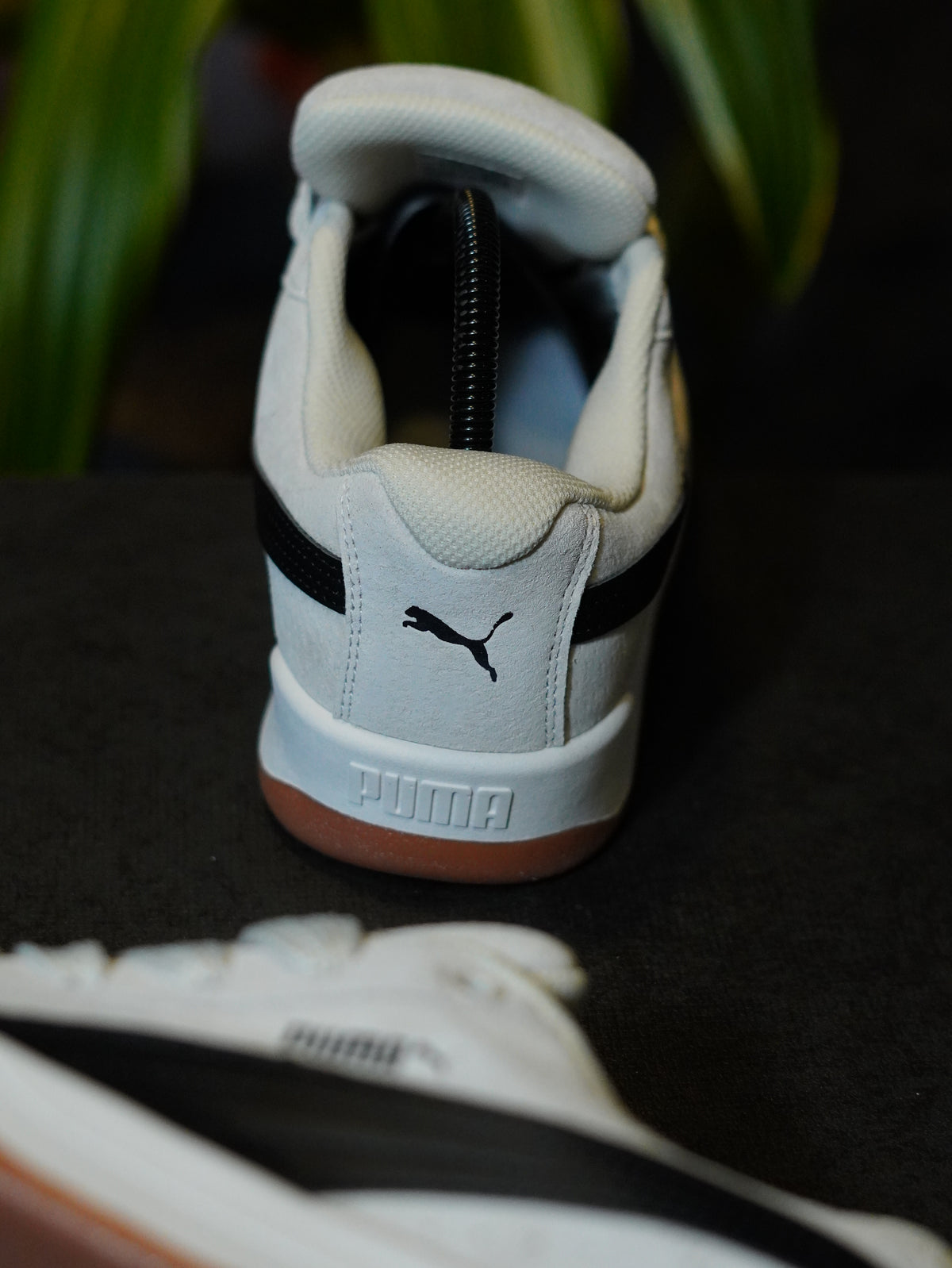 PUMA Park Lifestyle Easy SD "Warm White".