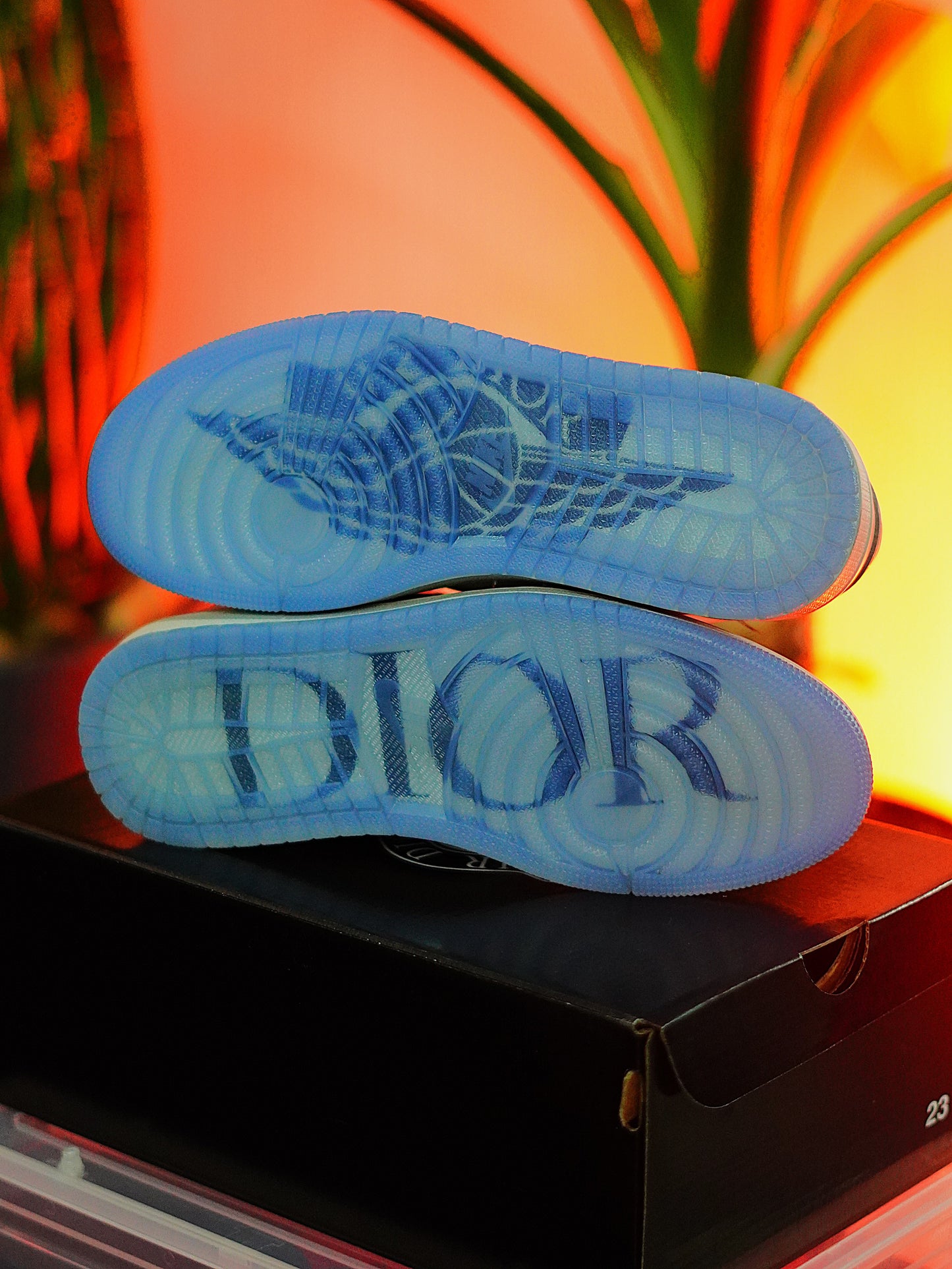 Jordan Retro 1 Low x DIOR