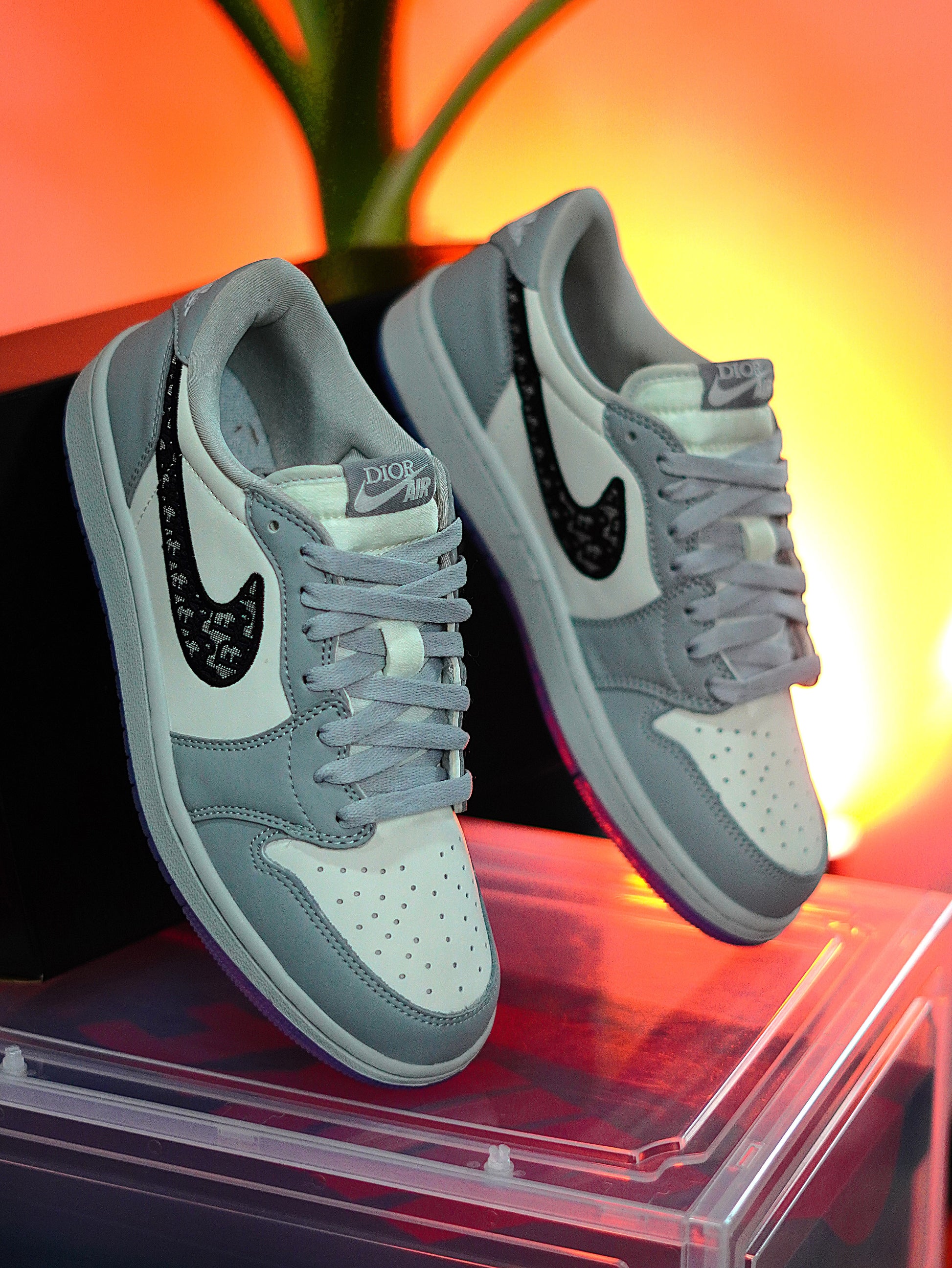 Jordan Retro Low x DIOR