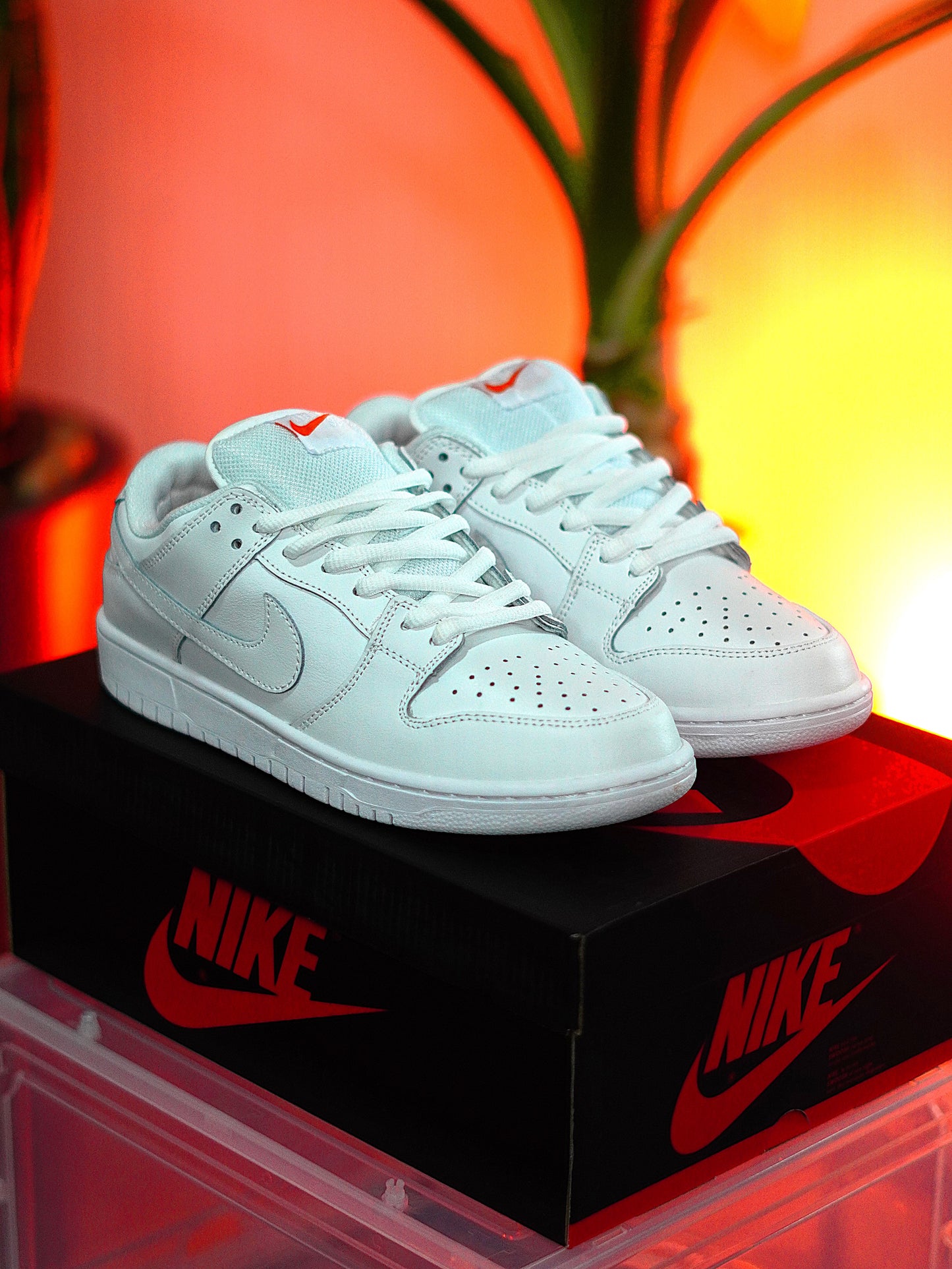 Nike SB Dunk Low Pro Triple White