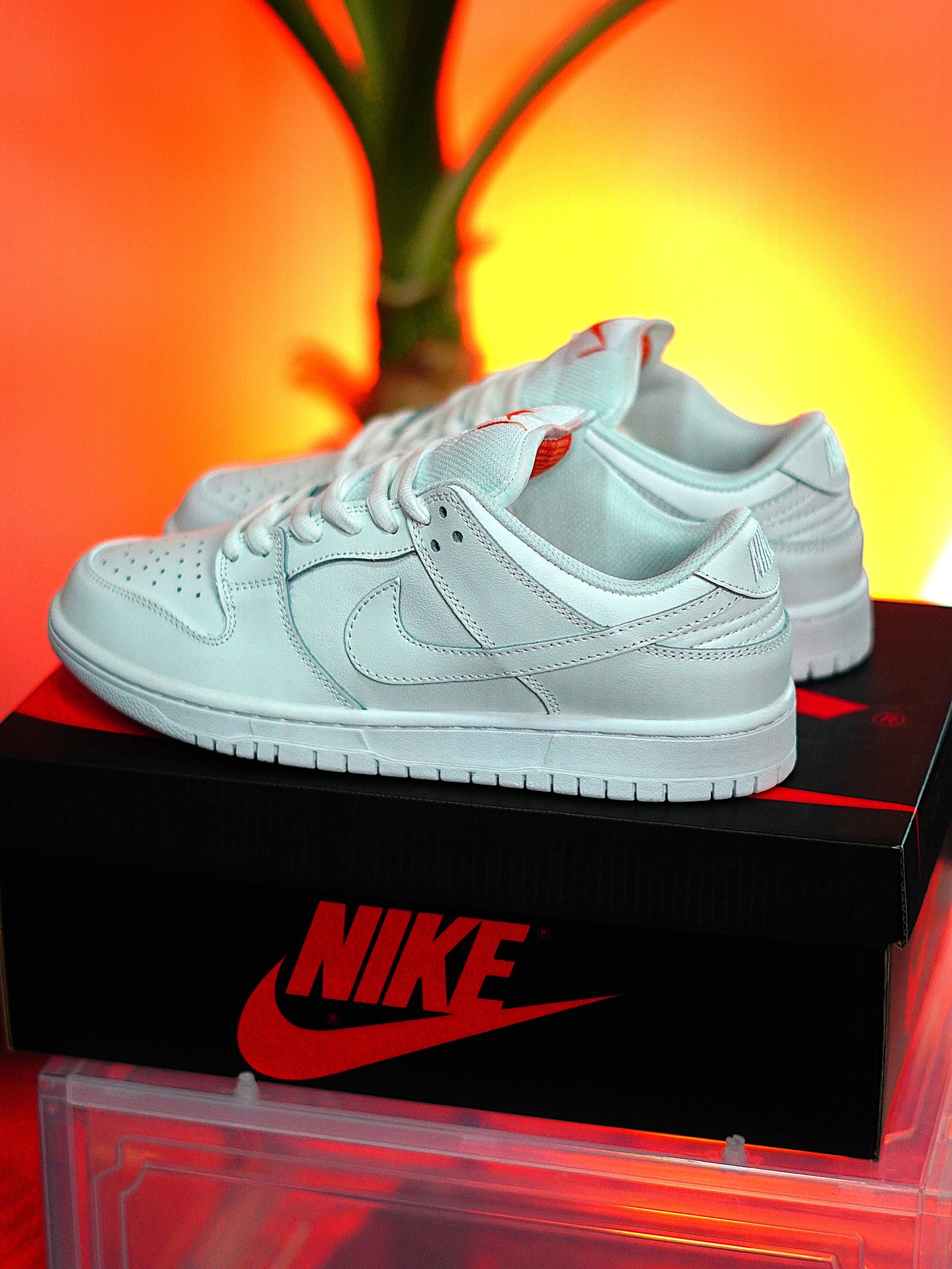 Nike SB Dunk Low Pro Triple White